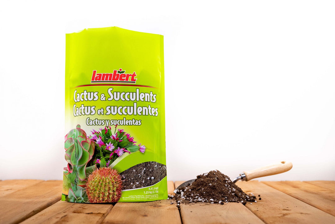Lambert's Cactus & Succulent Soil